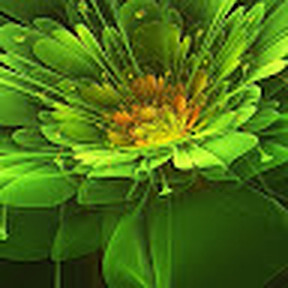 user68