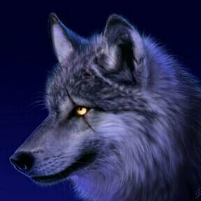 kingwolf