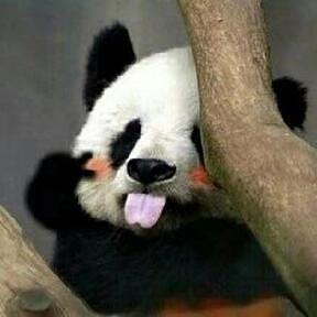 Junhao2314
