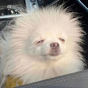 777