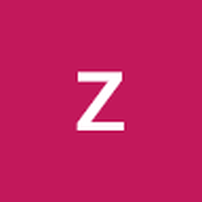 wzzs2998
