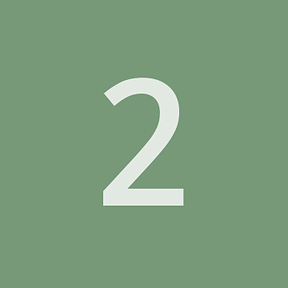 2529duck
