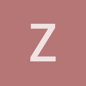 zylz111