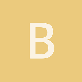 BrightRaven51